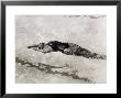 View From Above Of A Swimmer In A Pool Doing The Backstroke by A. Villani Limited Edition Print