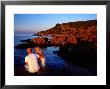 Couple Enjoying Sunset On Rocky Coastline At Hovs Hallar, Hovs Hallar Nature Reserve, Skane, Sweden by Anders Blomqvist Limited Edition Print