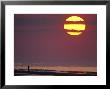 Person Silhouetted On The Beach At Sunrise by Kenneth Garrett Limited Edition Print