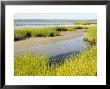 Salt Marsh Habitat With Flock Of Birds Taking Off, Cape Cod, Massachusetts by Tim Laman Limited Edition Print