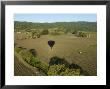Napa Valley, Usa: Hot Air Balloon Flying Over Vineyards, California by Brimberg & Coulson Limited Edition Pricing Art Print