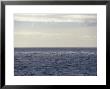 Vast Ocean In Dappled Shadow And Light, Bass Strait, Australia by Jason Edwards Limited Edition Print