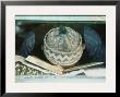 Student Sleeps With His Forehead Resting On His Book by James L. Stanfield Limited Edition Print