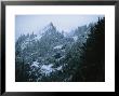 Twilight View Of Olympic Mountains And Evergreens In Snowy Landscape by Melissa Farlow Limited Edition Print