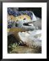 Close-Up Of Mosaic Dragon, By Gaudi, Parc Guell, Barcelona, Catalonia (Cataluna) (Catalunya), Spain by Peter Higgins Limited Edition Print