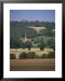 Titsey, Surrey, England, United Kingdom by John Miller Limited Edition Print