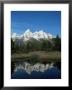 Schwarbacher's Landing, Grand Teton National Park, Wyoming, Usa by Jean Brooks Limited Edition Pricing Art Print