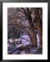 Country Road Leading To Nambe Ranch In Early Winter, New Mexico, Usa by Ralph Lee Hopkins Limited Edition Print
