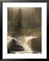 North Fork Of The Stanislaus River Near Dorrington At 6,000 Feet by Phil Schermeister Limited Edition Pricing Art Print