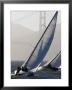 Sailboats Race On San Francisco Bay With The Golden Gate Bridge, San Francisco Bay, California by Skip Brown Limited Edition Pricing Art Print