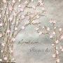 Cherry Blossom, Speak Love by Nick Biscardi Limited Edition Print