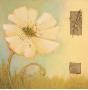 Embossed Poppy by Edward Raymes Limited Edition Print