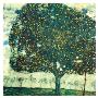 Apple Tree Ii, C.1916 by Gustav Klimt Limited Edition Print