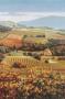 Golden Vineyard I by Ahn Seung Koo Limited Edition Print