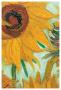 Twelve Sunflowers (Detail) by Vincent Van Gogh Limited Edition Print