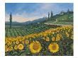 Yellow Sunflower by Sophia Davidson Limited Edition Print