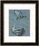 Hands, Two Studies, Chalk Drawing On Blue Paper by Albrecht Dã¼rer Limited Edition Print