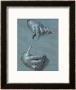 Hands, Two Studies, Chalk Drawing On Blue Paper by Albrecht Durer Limited Edition Print