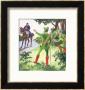 Robin Hood, From Peeps Into The Past, Published Circa 1900 by Trelleek Limited Edition Print