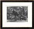 On Board An Emigrant Ship At The Time Of The Irish Famine by William Heysham Overend Limited Edition Pricing Art Print