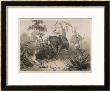 Captain G.F. Atkinson Pricing Limited Edition Prints
