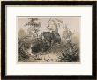 British In India Shooting A Tiger From Elephants by Captain G.F. Atkinson Limited Edition Pricing Art Print