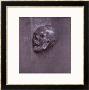 Study Of A Human Skull, 1521 by Albrecht Durer Limited Edition Print