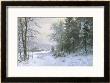 Late Lies The Winter Sun by Anders Andersen-Lundby Limited Edition Print