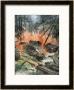 Tank Battle In The Forests Of Leningrad by Achille Beltrame Limited Edition Print