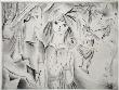 La Recreation by Mily Possoz Limited Edition Print