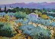 Alpilles by Peter Deluca Limited Edition Print