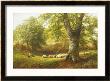 Sunshine In The Country by George Turner Limited Edition Print