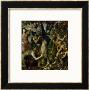 The Flaying Of Marsyas, 1570-1575 by Titian (Tiziano Vecelli) Limited Edition Print