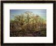 Andrew Maccallum Pricing Limited Edition Prints