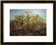 The Edge Of Sherwood Forest, 1878 by Andrew Maccallum Limited Edition Pricing Art Print