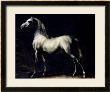 Study Of A Dapple Grey by Theodore Gericault Limited Edition Print