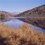 Mckinley Park, Alaska, Usa by Jon Hart Gardey Limited Edition Print