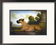 Recumbent Great Dane by Christine Merrill Limited Edition Print