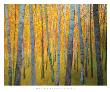 Forest Verticals by Ken Elliott Limited Edition Pricing Art Print
