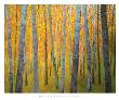 Forest Verticals by Ken Elliott Limited Edition Print