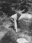 Vladimir Nabokov Catching A Butterfly by Carl Mydans Limited Edition Print