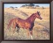 Brown Horse In Field by Ron Kimball Limited Edition Pricing Art Print