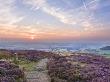Sunset On The Cleveland Way Near Faceby, North Yorkshire Moors, Yorkshire, England, United Kingdom, by Lizzie Shepherd Limited Edition Print