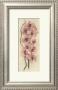 Branch With Orchid by Julie Nightingale Limited Edition Pricing Art Print
