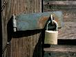 Crime Prevention, Locked Padlock On Tool Shed Door by David Askham Limited Edition Print