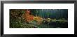 Pond In Forest In Autumn by Panoramic Images Limited Edition Pricing Art Print