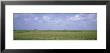 Cornfields, Iowa, Usa by Panoramic Images Limited Edition Pricing Art Print