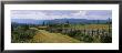 Farmhouses In A Field, Gudbrandsdalen, Oppland, Norway by Panoramic Images Limited Edition Print