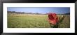 Red Cowboy Hat Hanging On The Fence, California, Usa by Panoramic Images Limited Edition Pricing Art Print