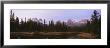 Lake In A Forest, Three Sister's Mountain, Mt. Lawrence Grassi, Bow Valley, Alberta, Canada by Panoramic Images Limited Edition Print
